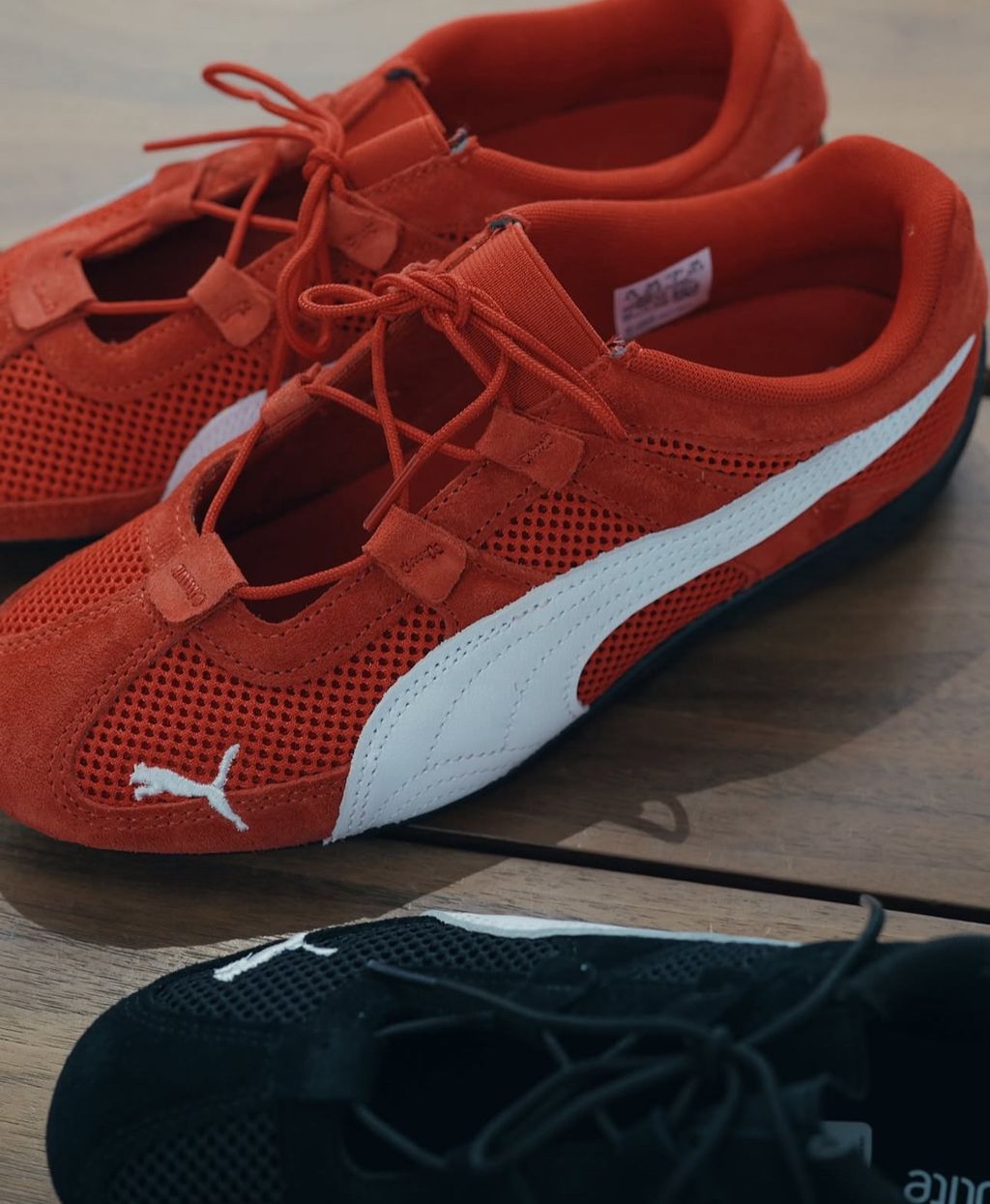 image_7D99D4C7-6B79-4B30-9B86-C6EB42E6C4AB_1769404893