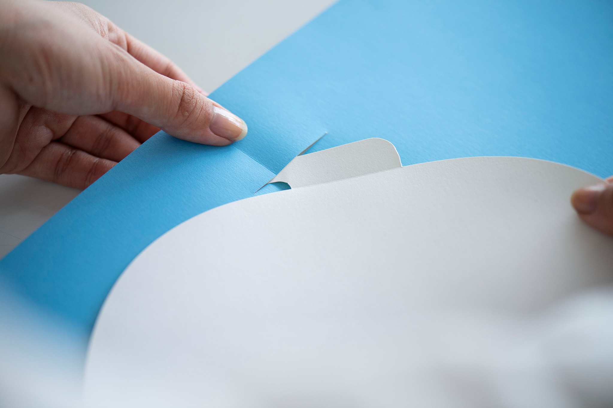 01f73c5a162c351a656310f14020a46a