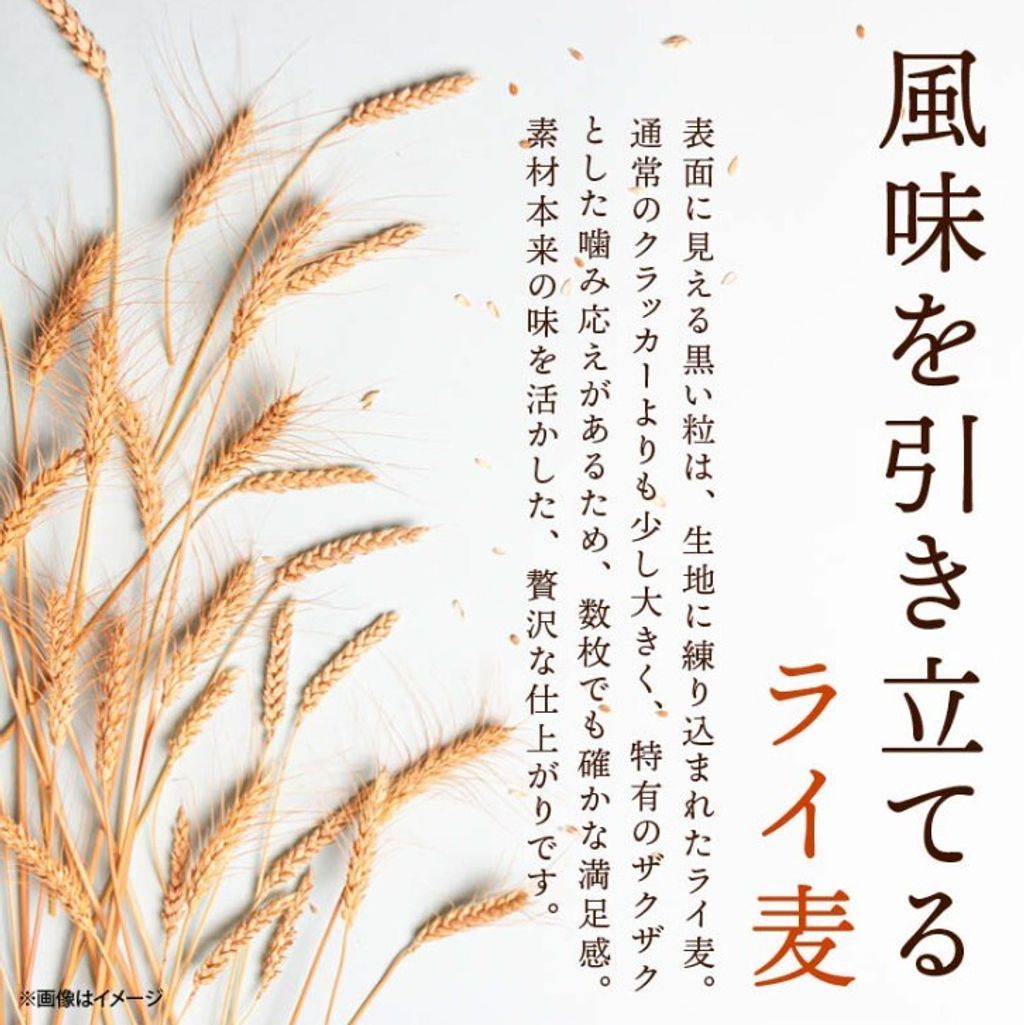 螢幕擷取畫面 2026-08-04 002232