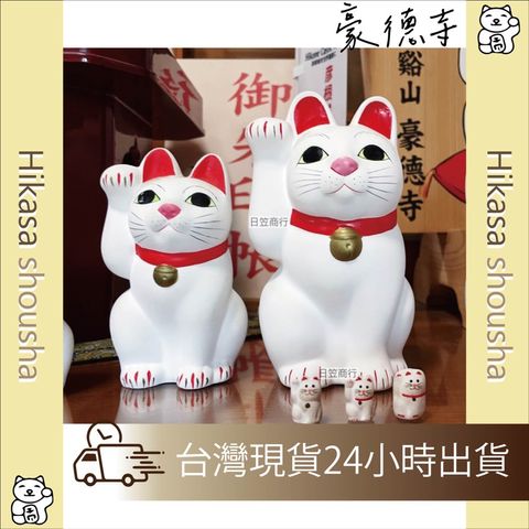 tw-11134207-7r98v-lo2uc2j9mjp564