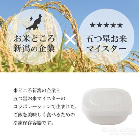 螢幕擷取畫面 2024-11-18 162608