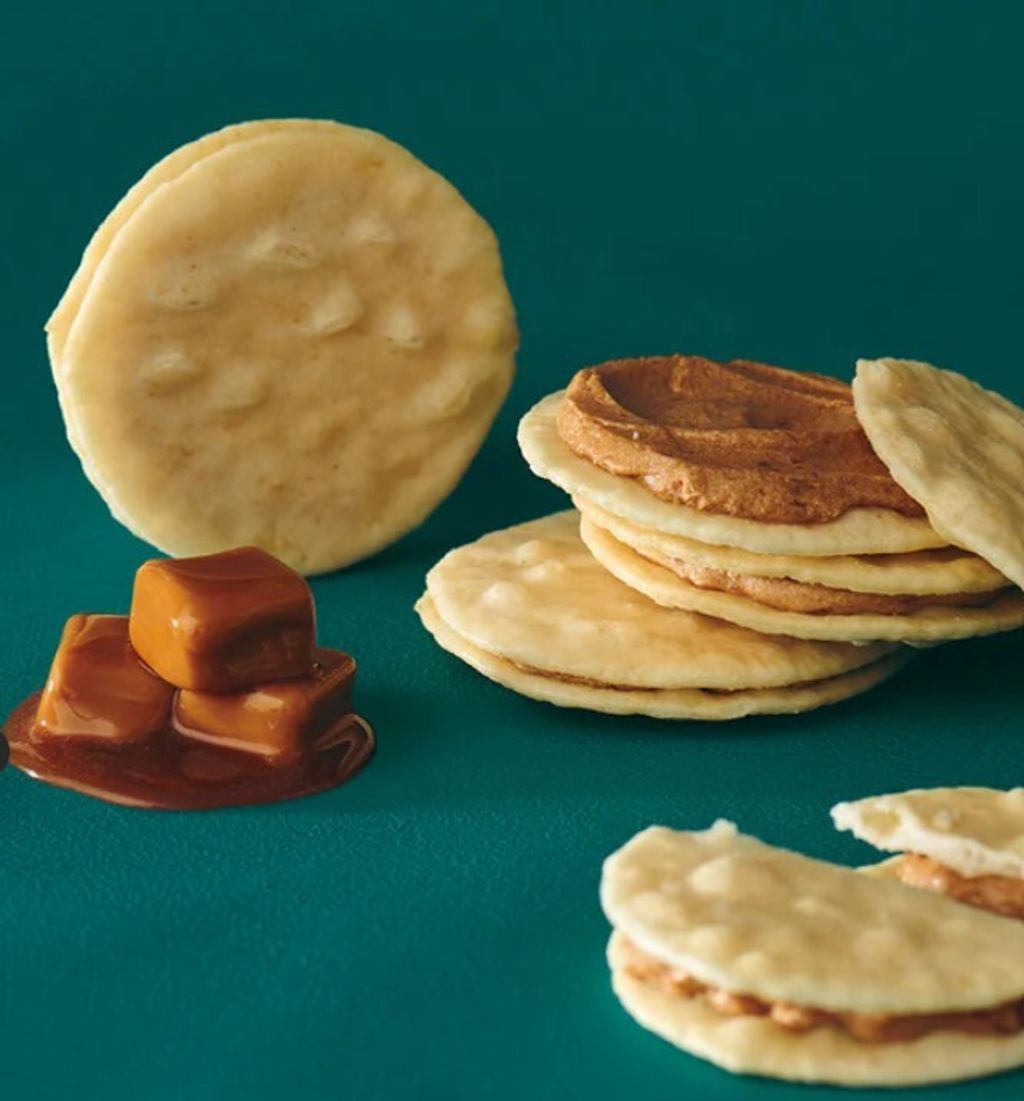 螢幕擷取畫面 2025-09-04 224437