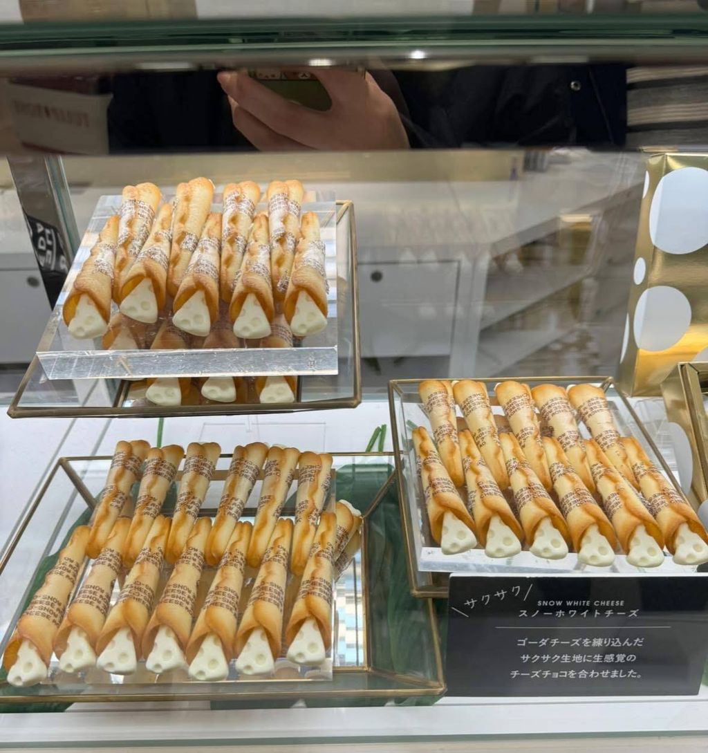 489727676_1138754814958450_3321445611362805858_n