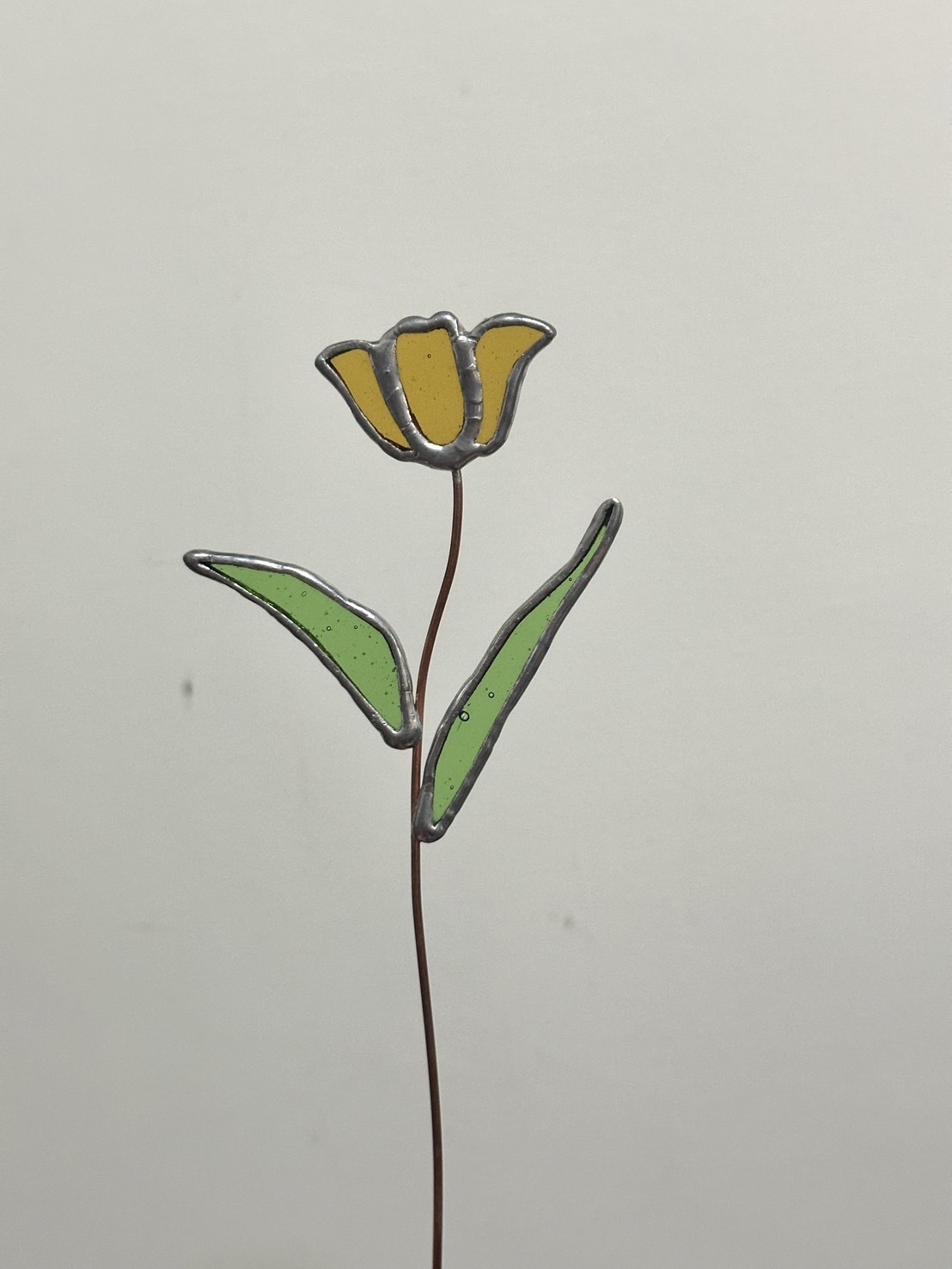S__88318020_0