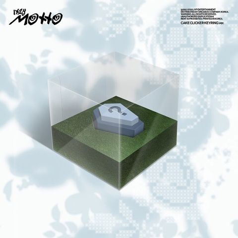 0090010338802