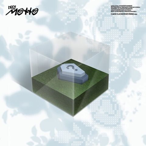 0090010338802