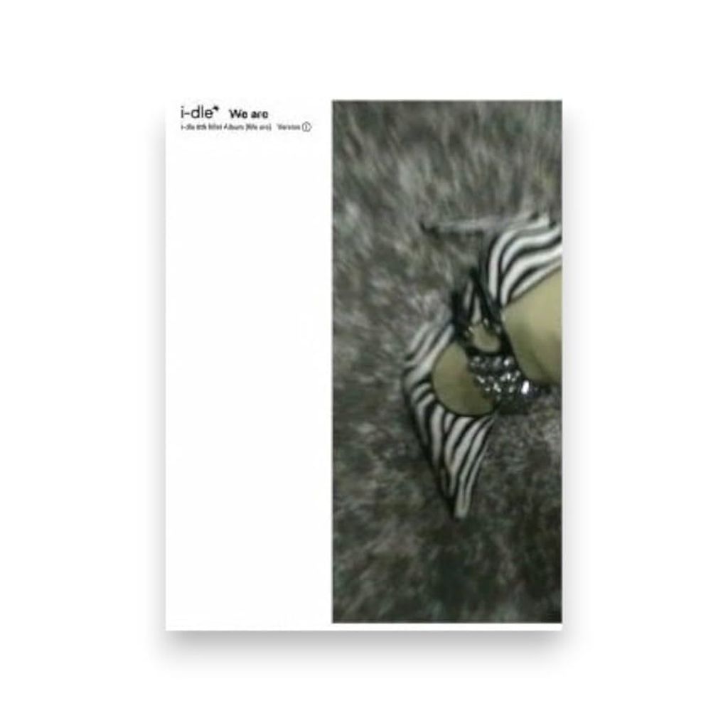 51ggq3-zlzL._UF894,1000_QL80_