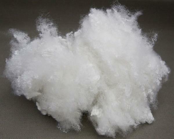 Polyester fibre1