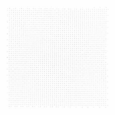 White2