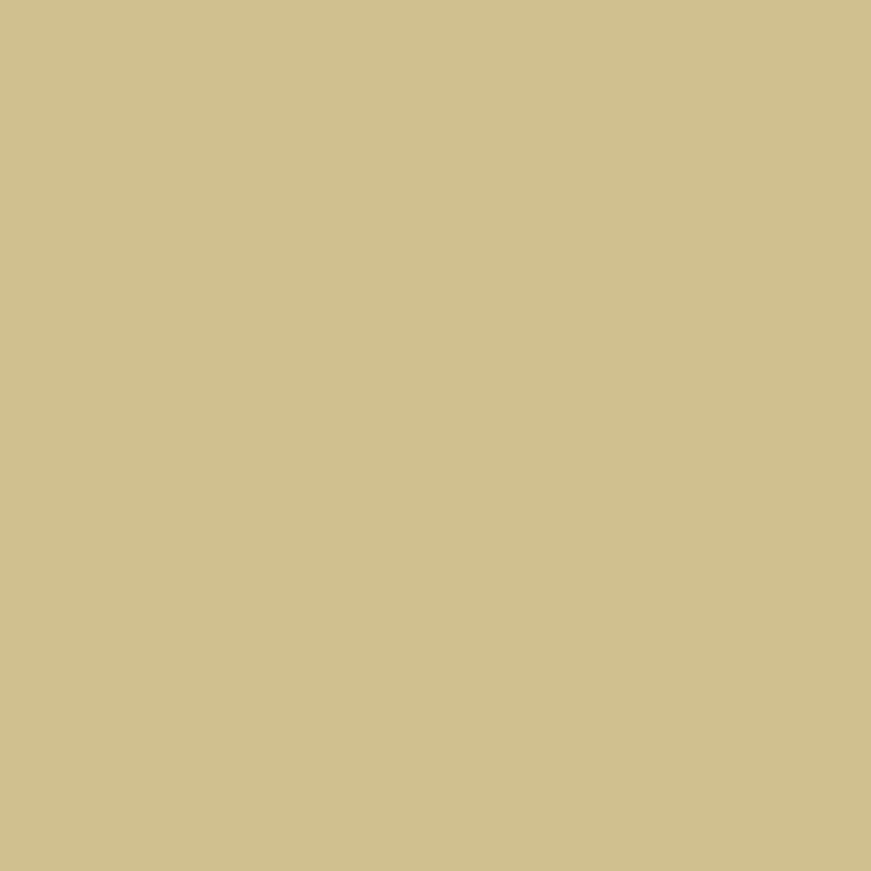 Beige1700808