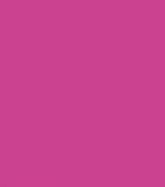 Plum17008114