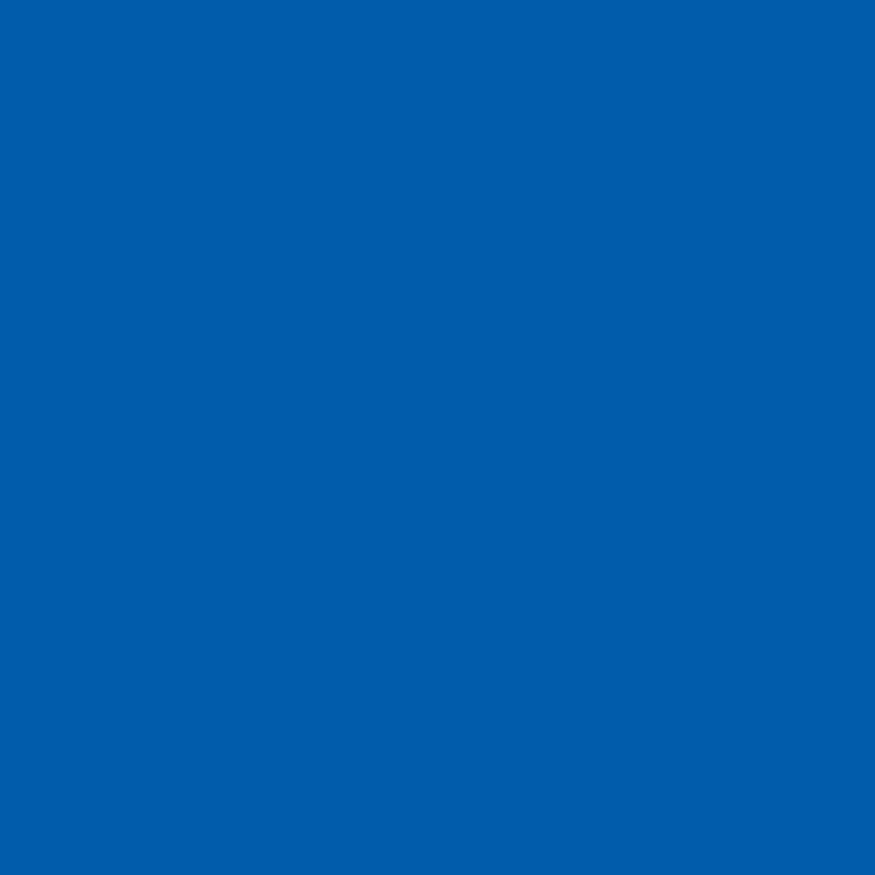 Blue1700843