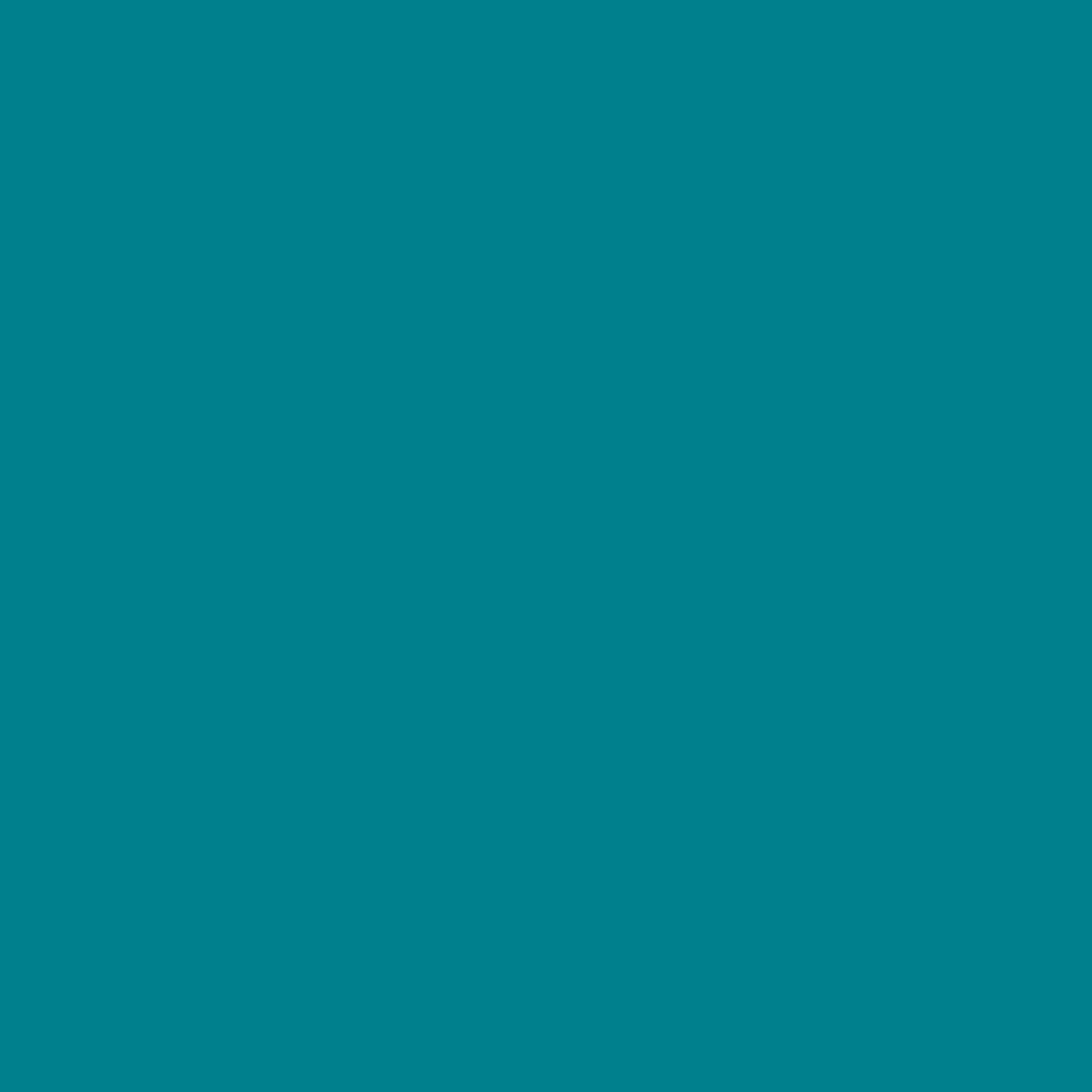 Turquoise1700833