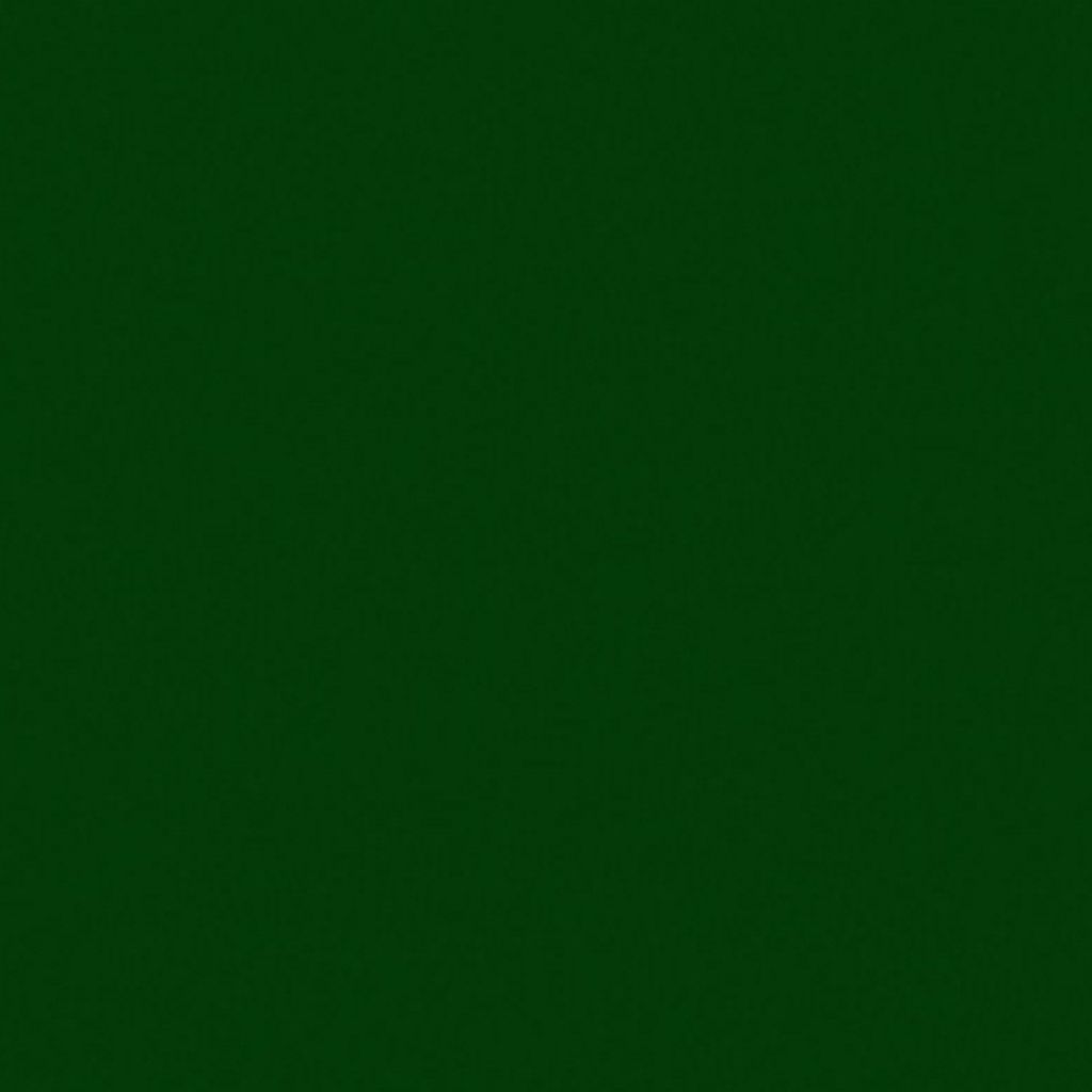 Dark Green17008116