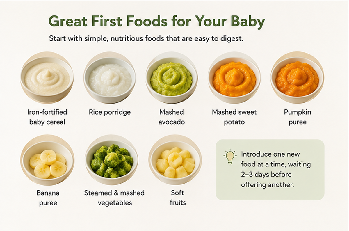 What Should Be Your Baby's First Foods?