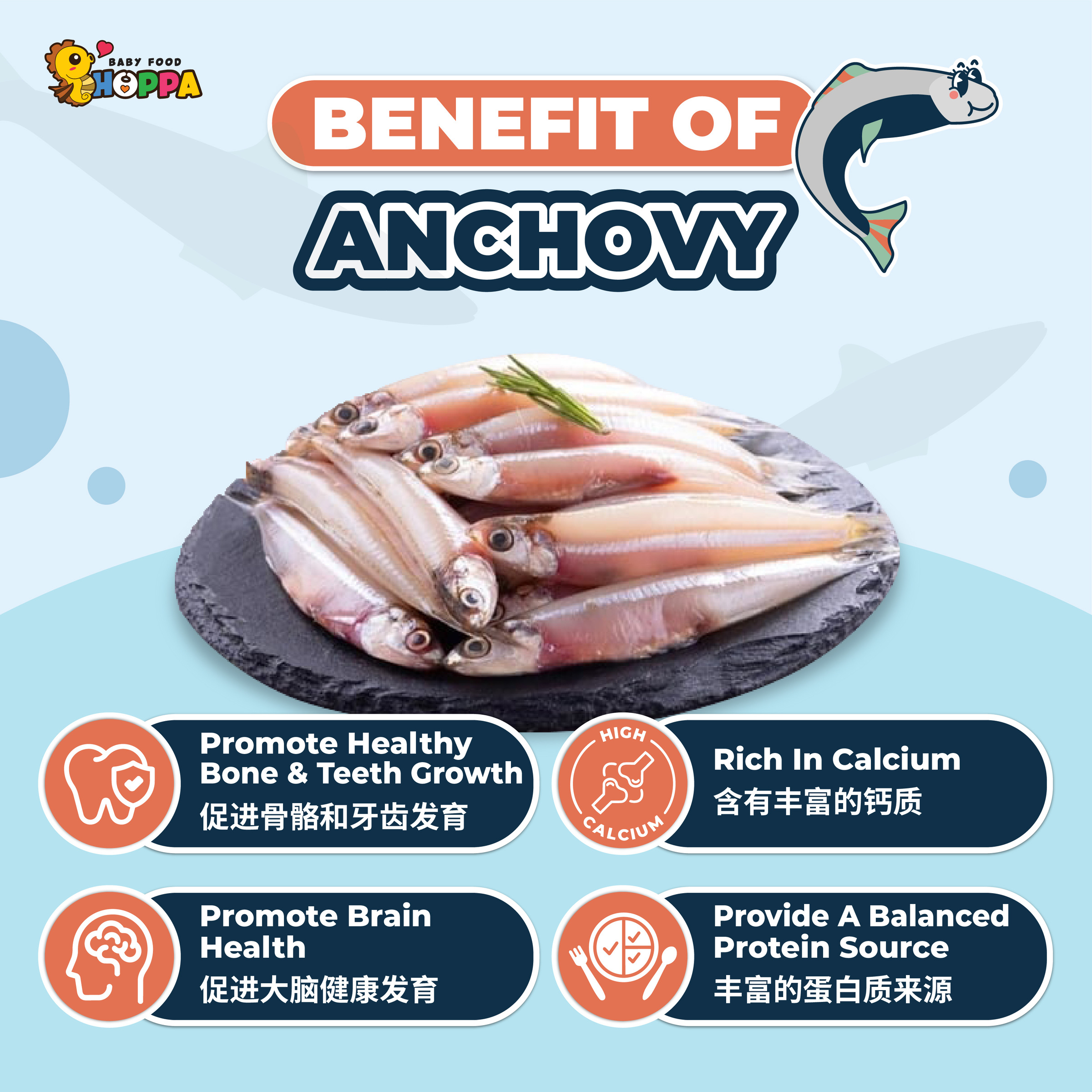Anchovy Powder-02