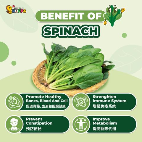 Spinach Powder-02