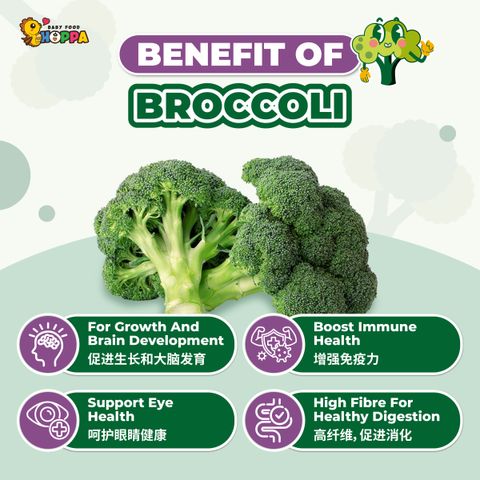 Broccoli Powder-02