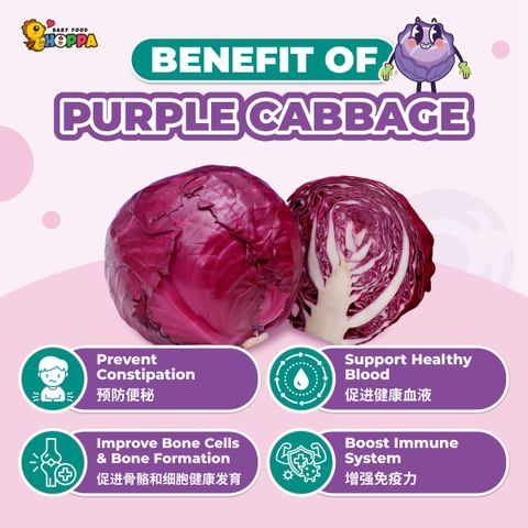 Purple Cabbage-02