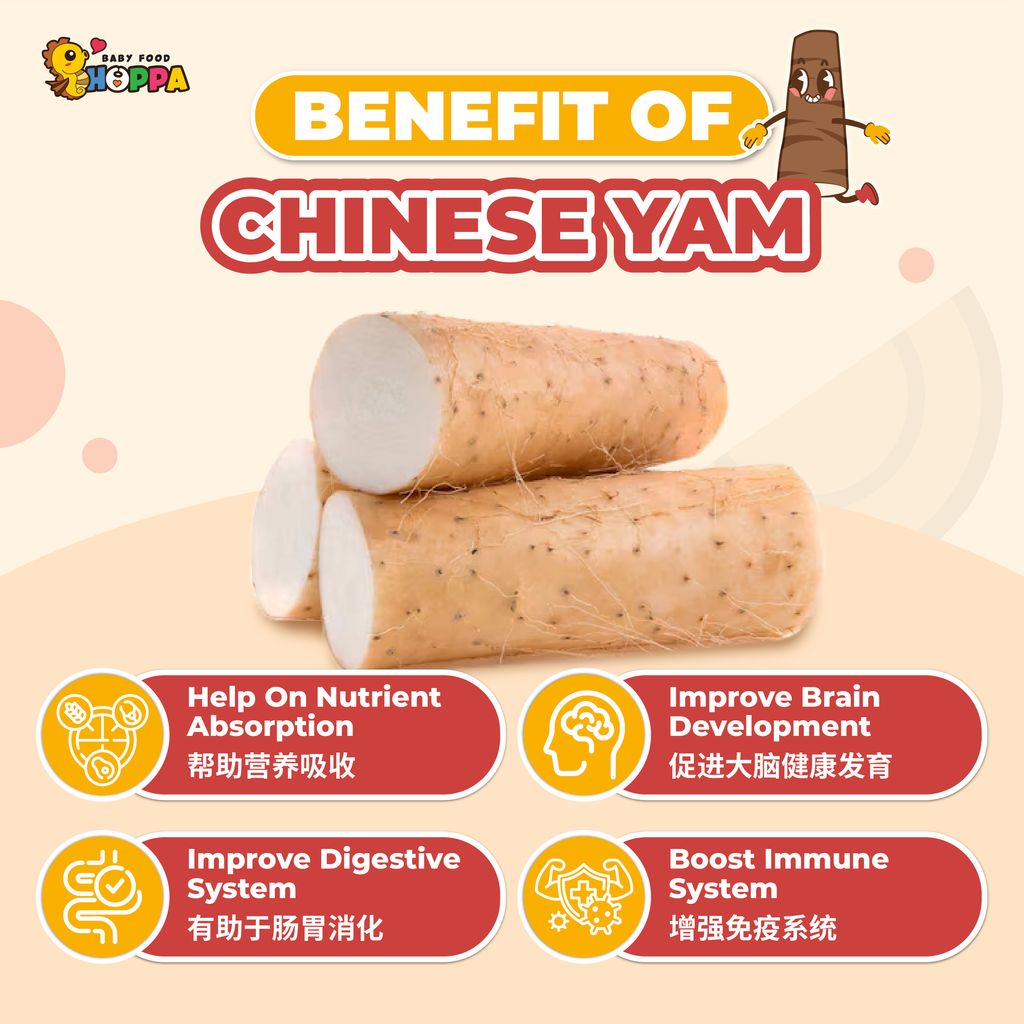 Chinese Yam-02