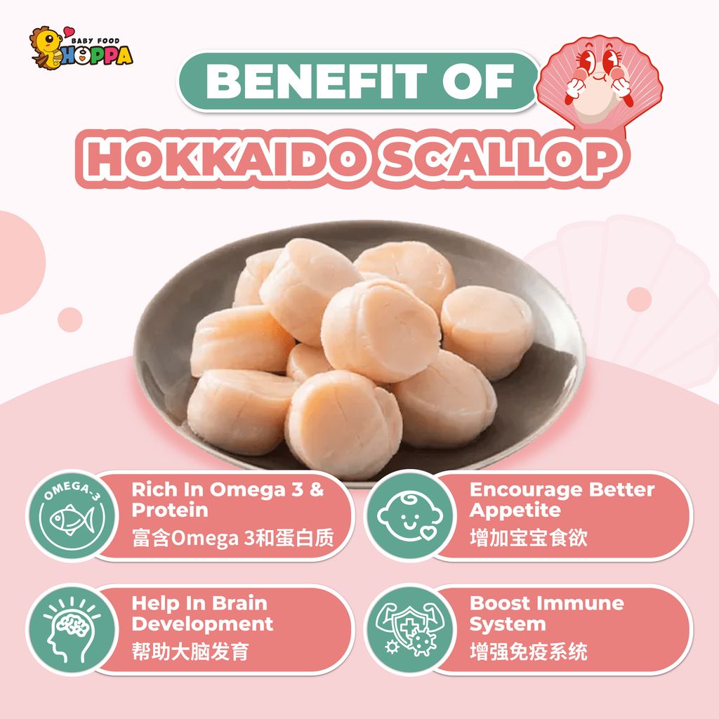 Hokkaido Scallop Powder-02