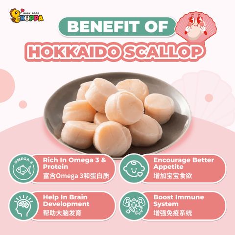 Hokkaido Scallop Powder-02