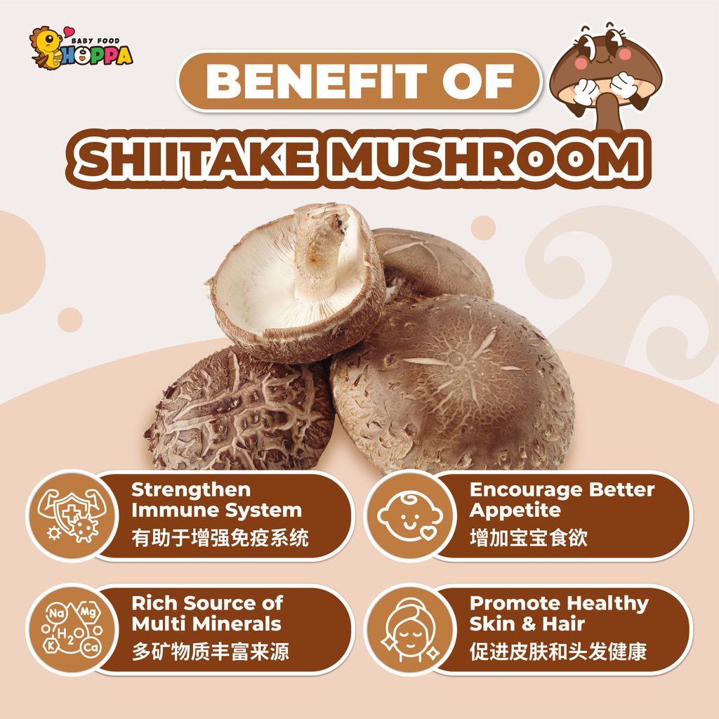 Shiitake Mushroom Powder-02