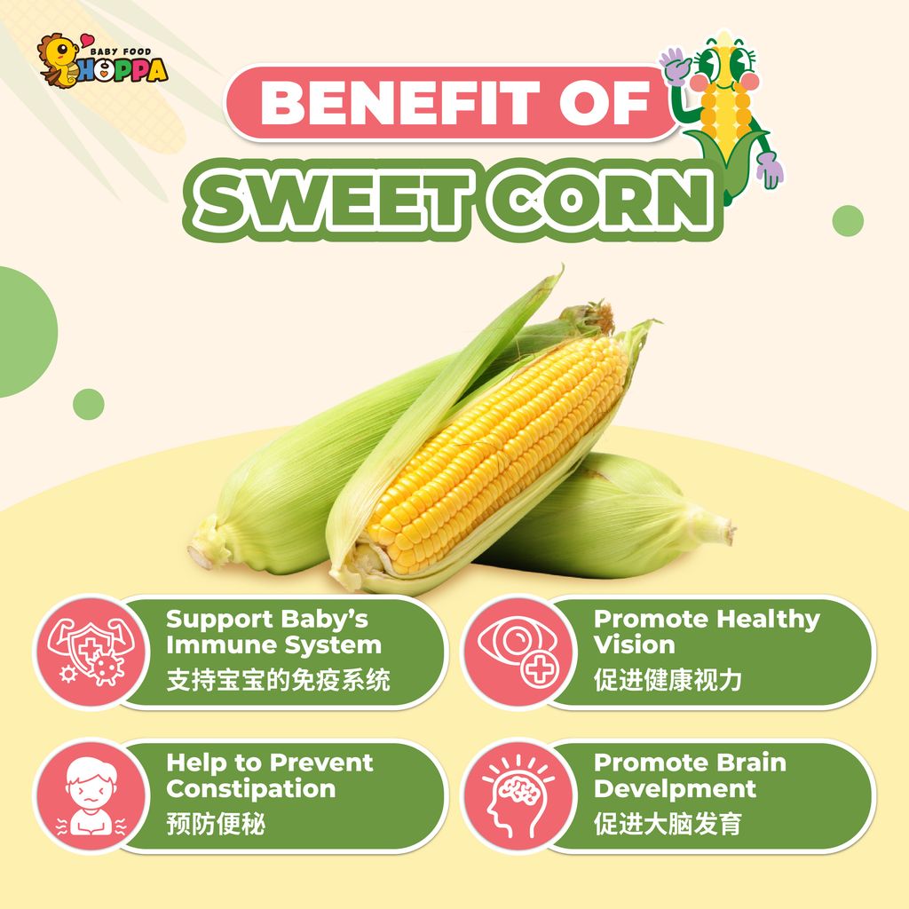 Sweet Corn Powder-02
