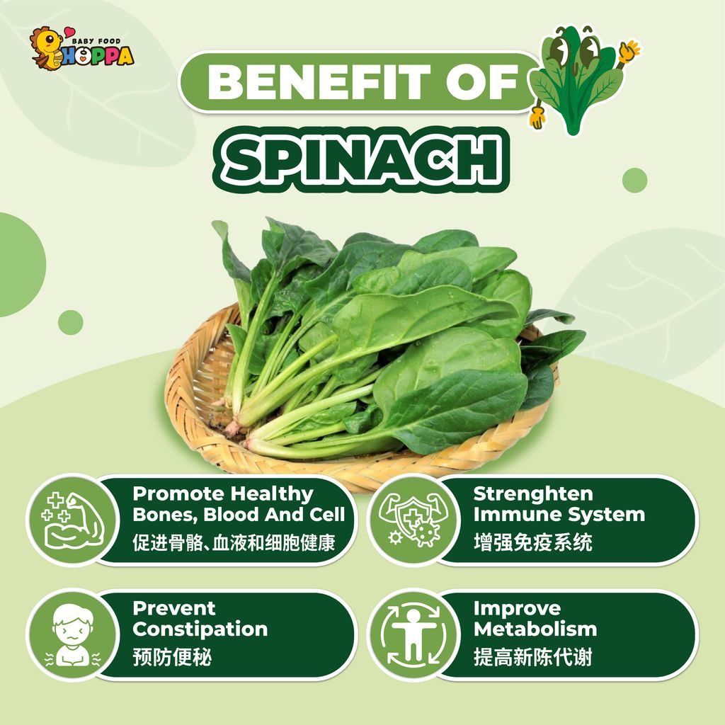 Spinach Powder-02