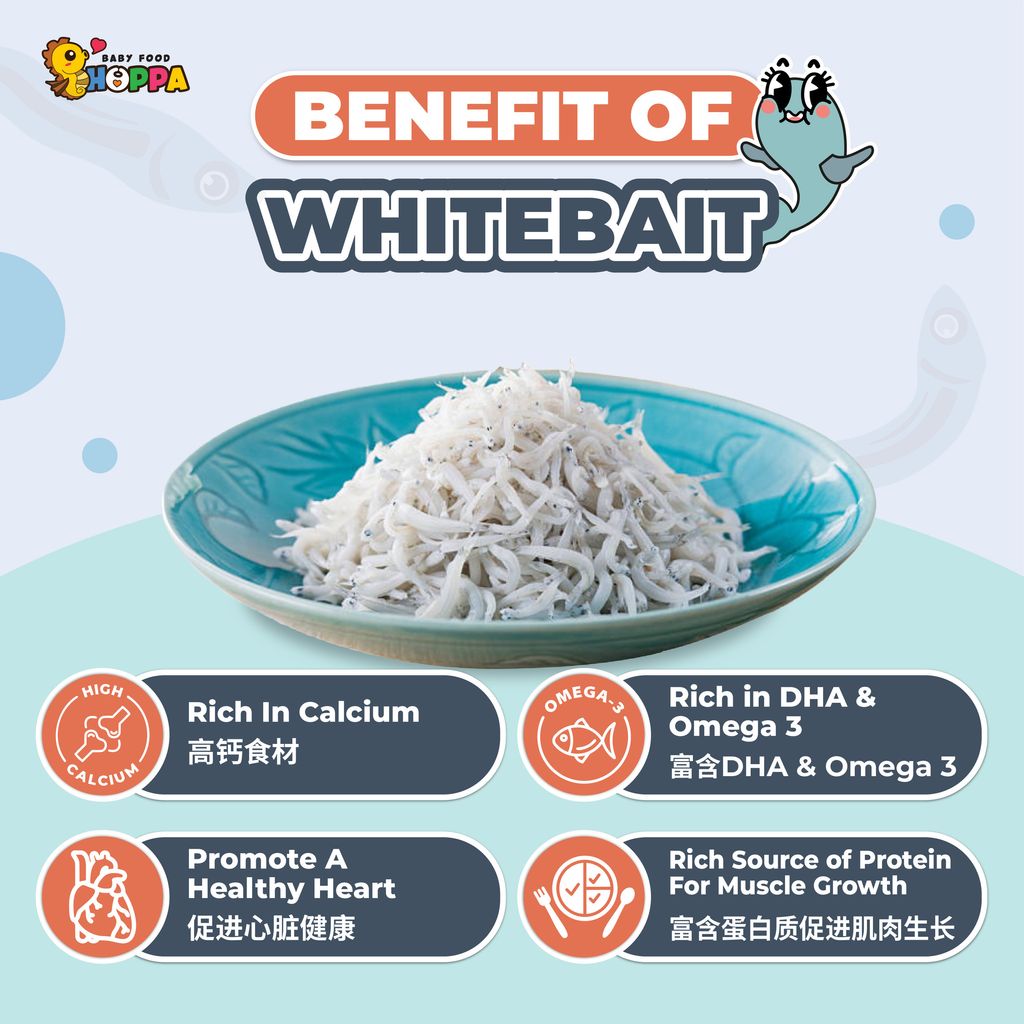 Whitebait-02