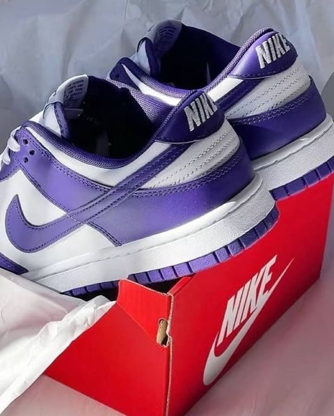 Snapinsta.app_272831925_231376109161870_4696625757793277618_n_1024