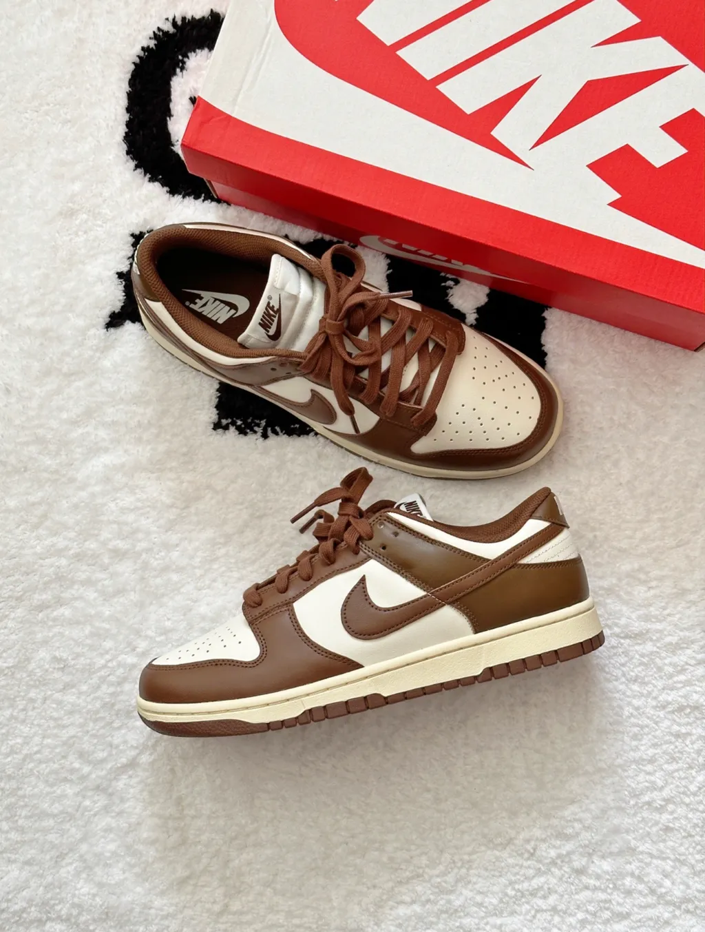 IMG_6081-1705997701197