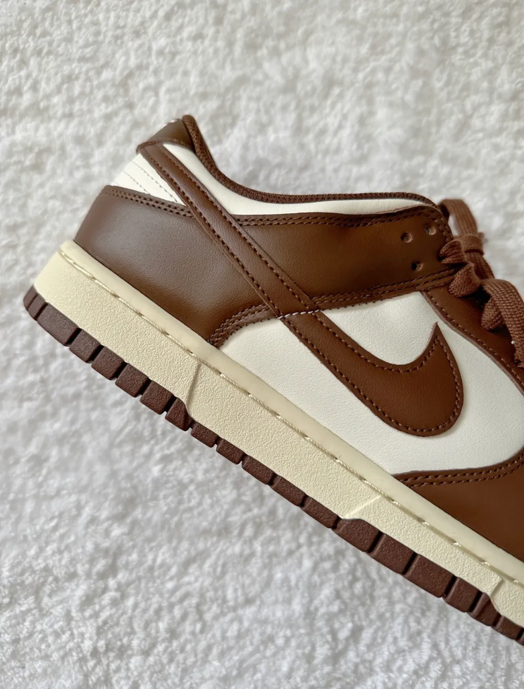 IMG_6086-1705997701242