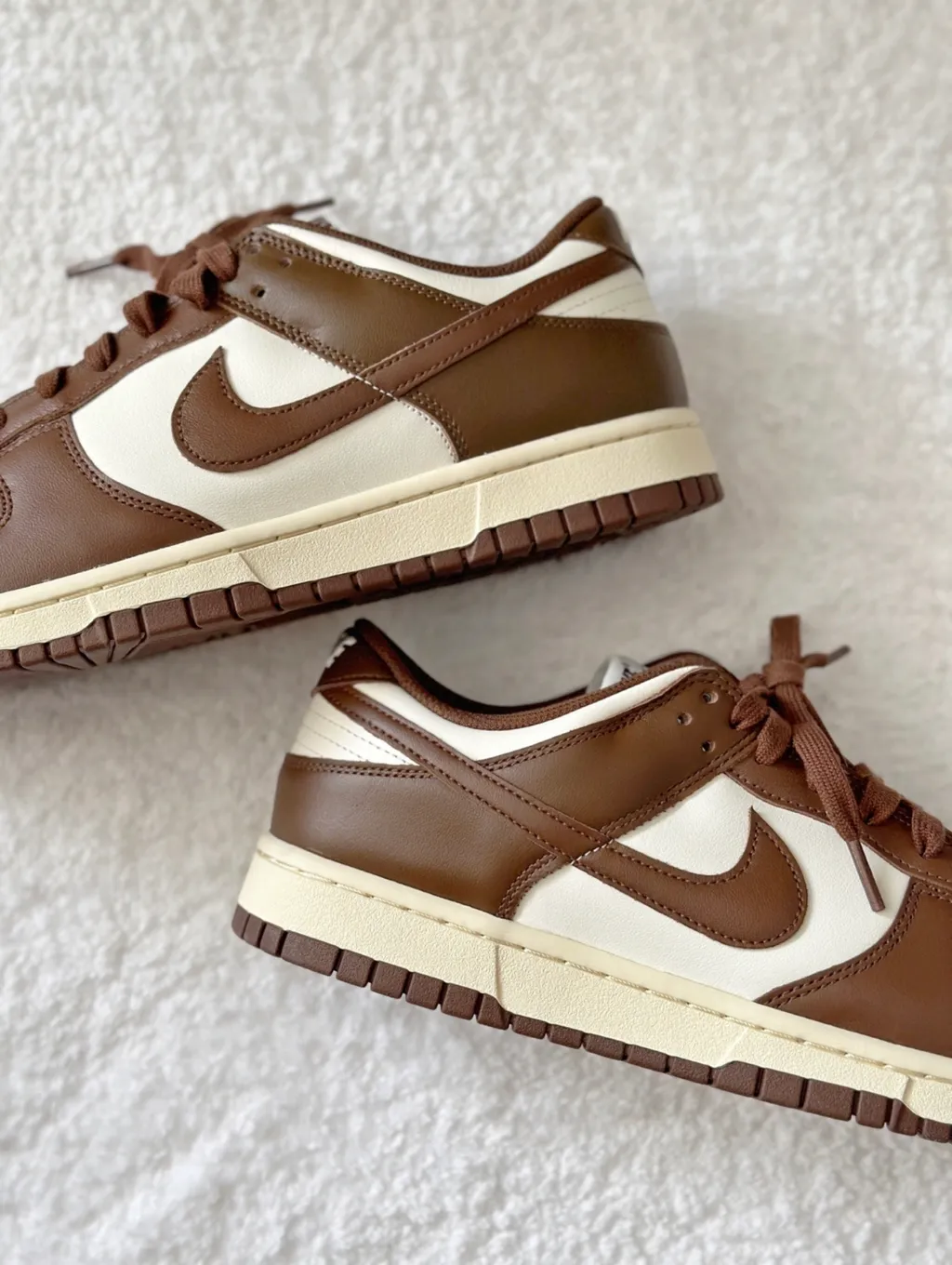 IMG_6087-1705997701247