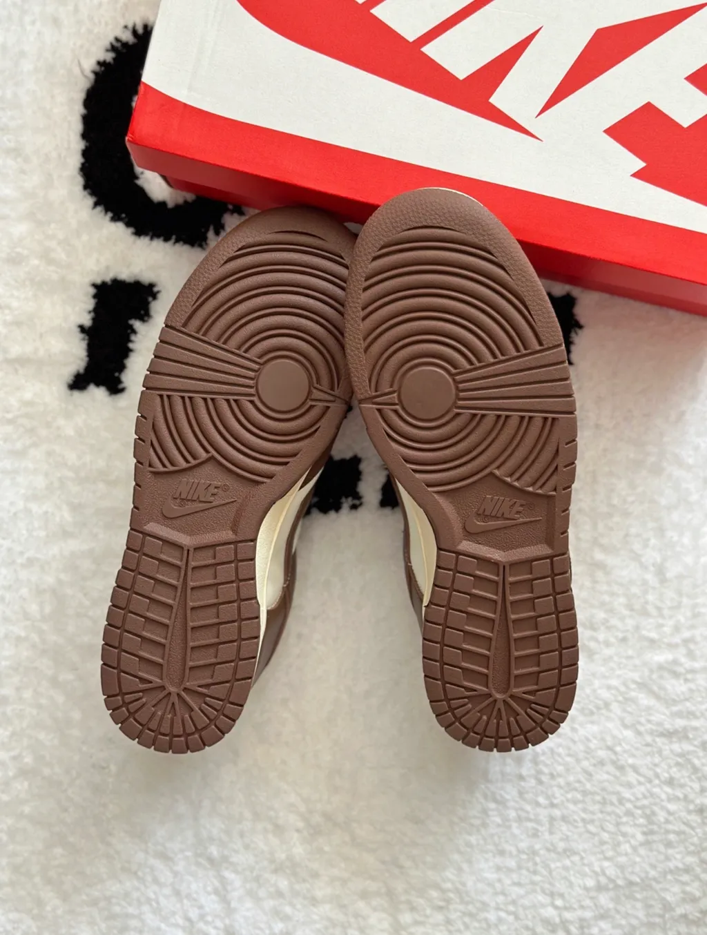 IMG_6088-1705997701258