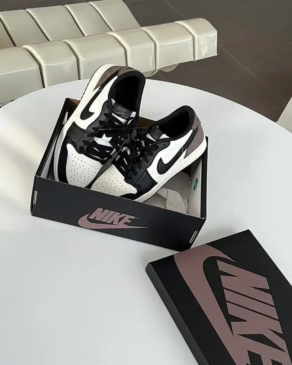 800x (4)