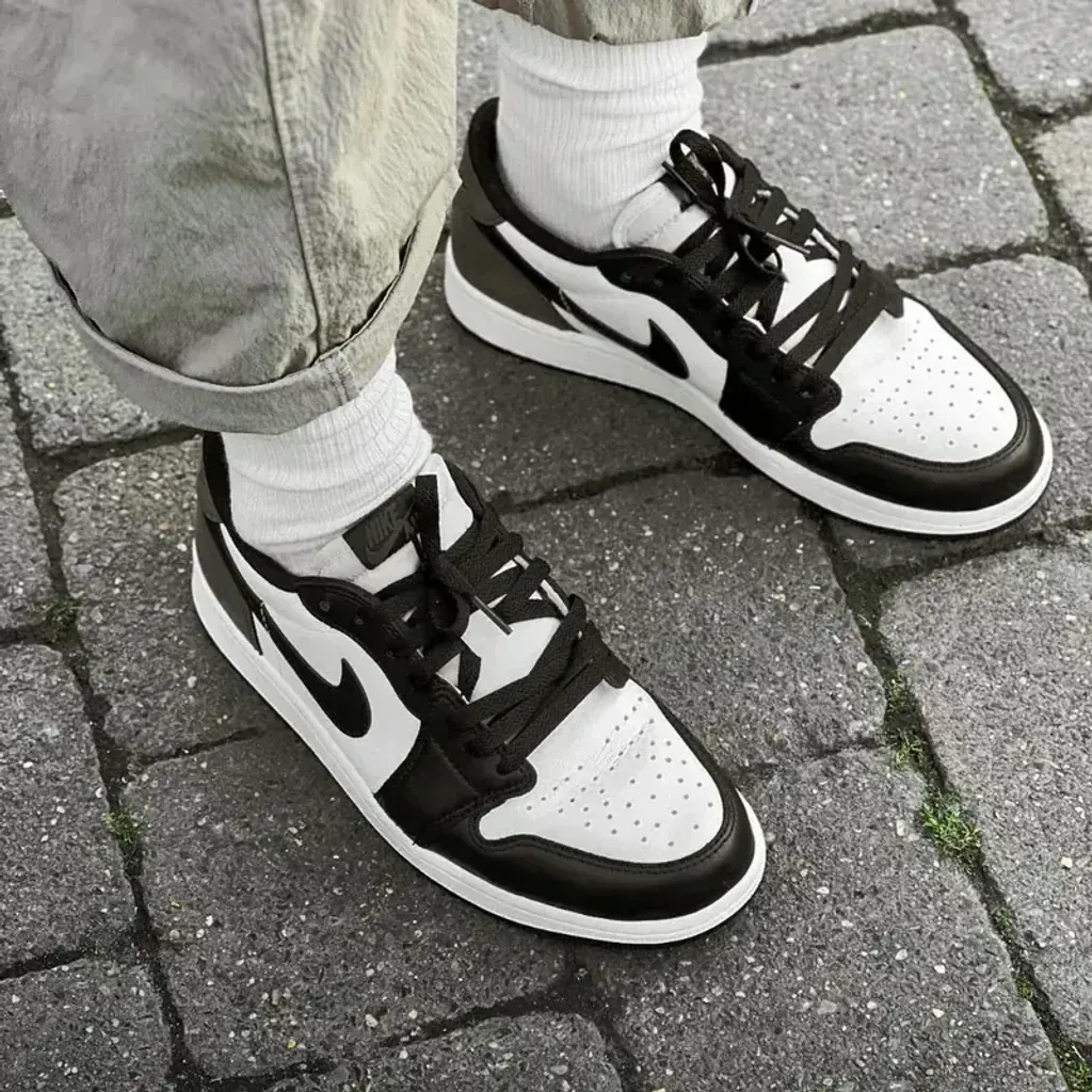 800x (5)