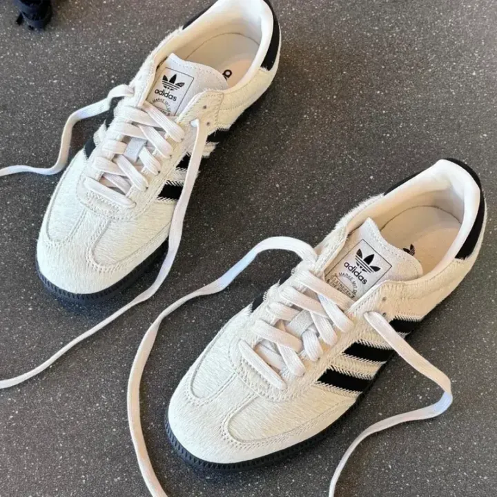 800x (1)