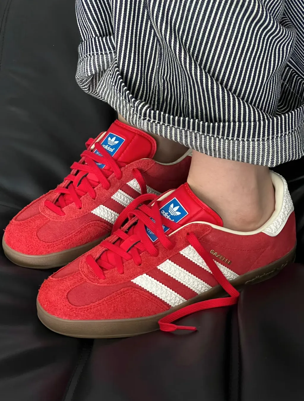 IMG_1249-1737517039469