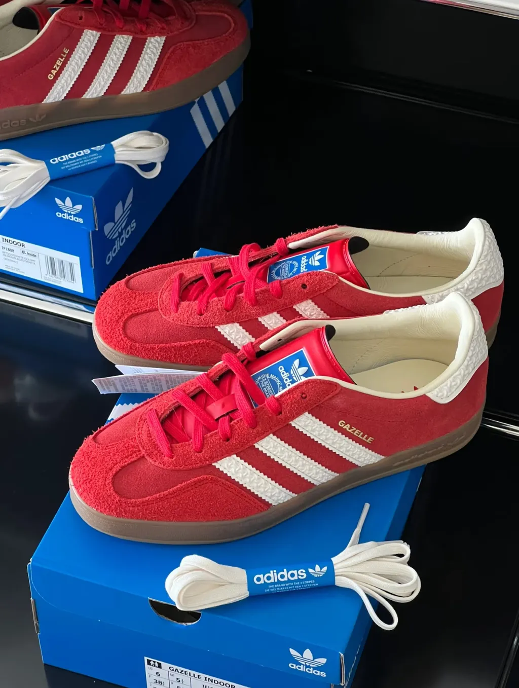 IMG_1250-1737517039462