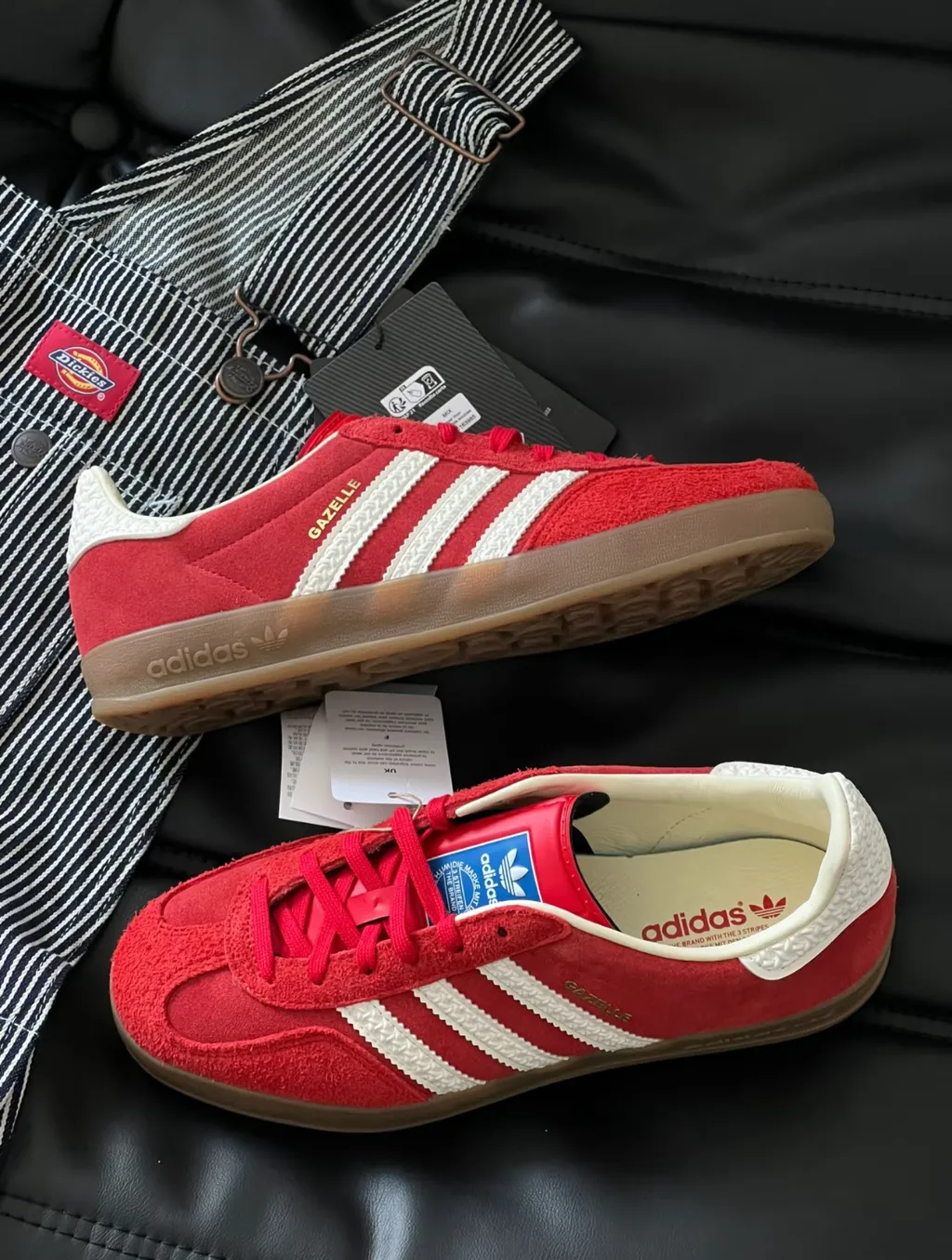 IMG_1251-1737517039445