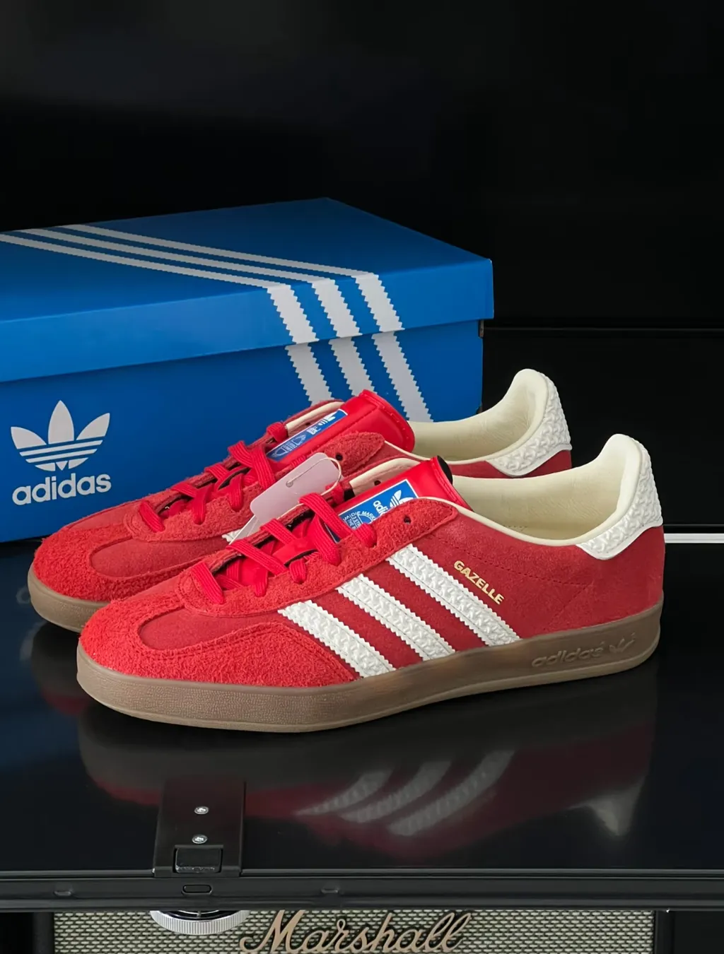 IMG_1253-1737517039483