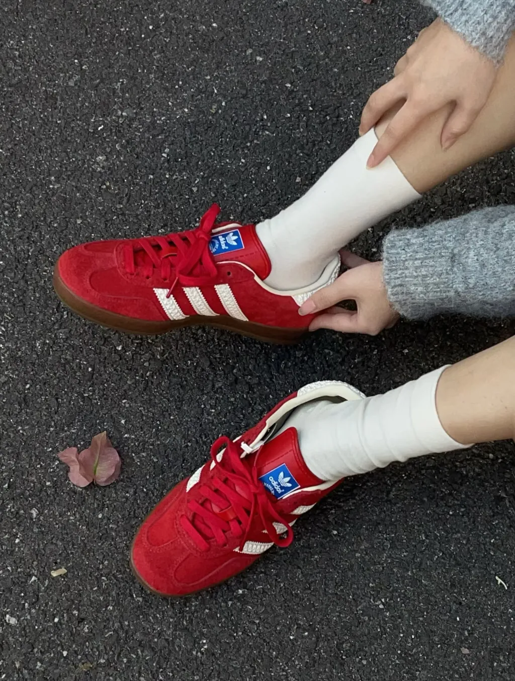 IMG_1258-1737517039447