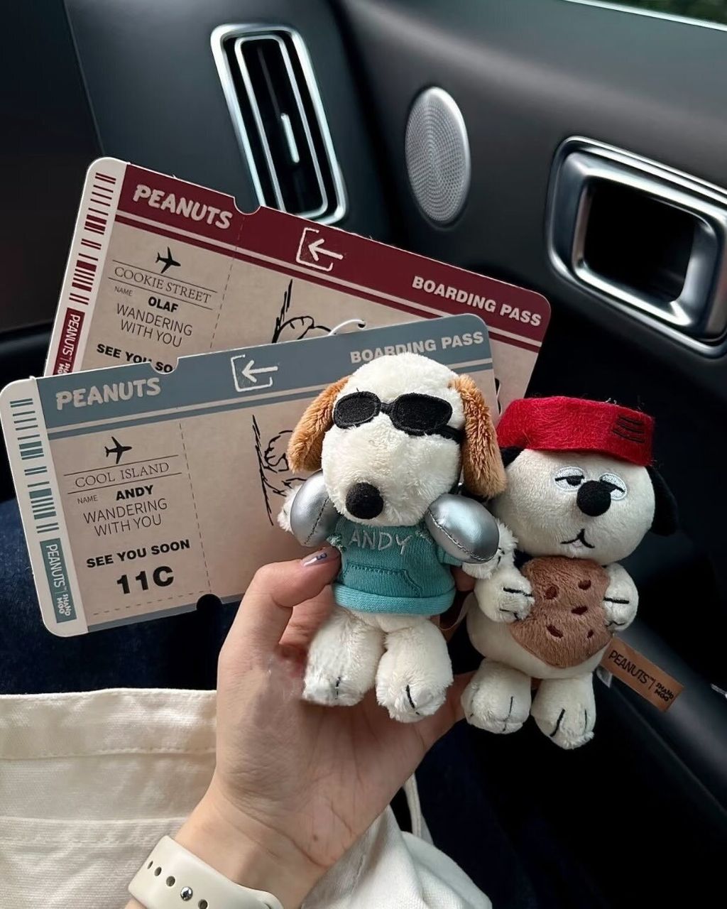 503993209_17909923875115453_2858007677217218044_n