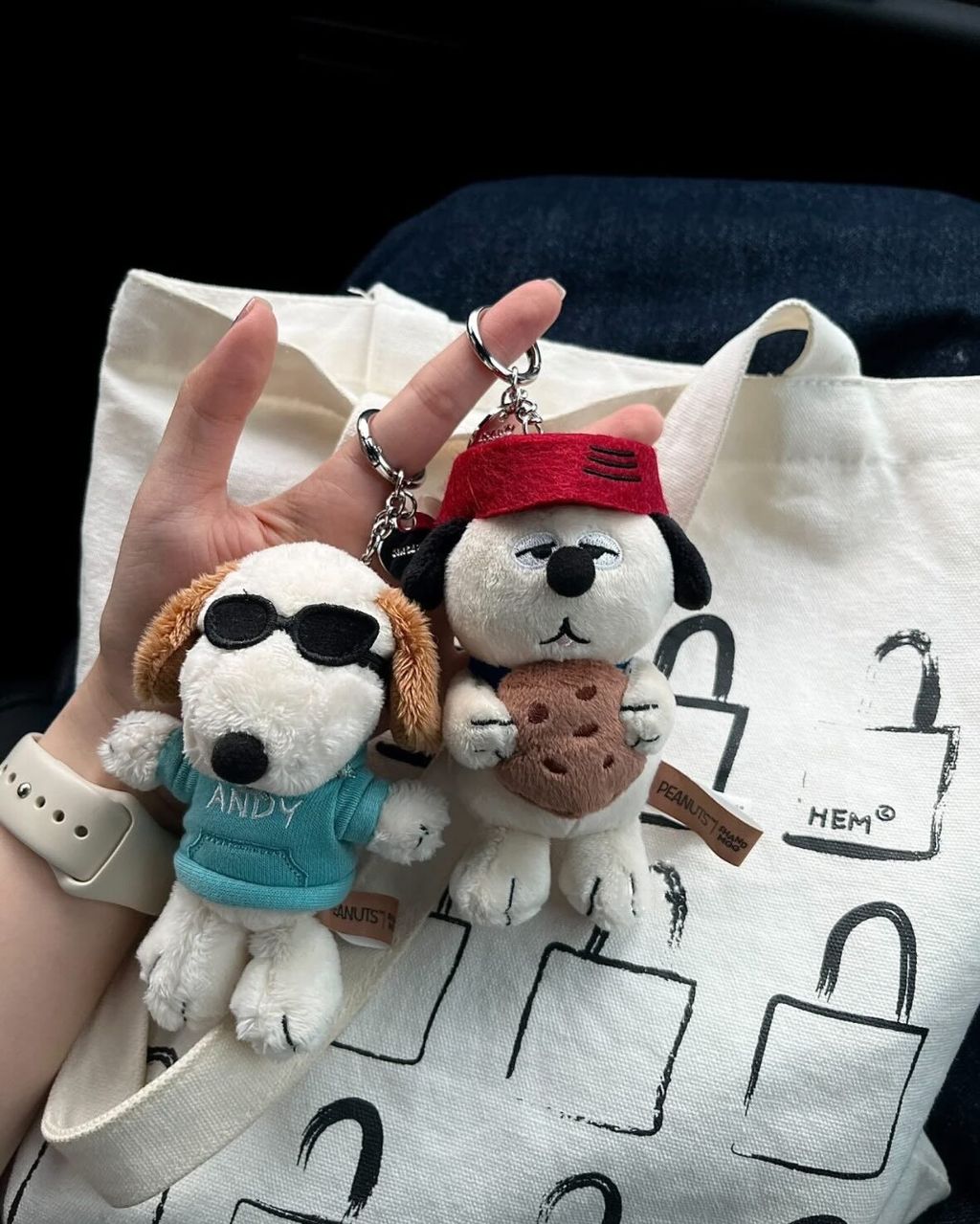 503946073_17909923905115453_66358630456397683_n