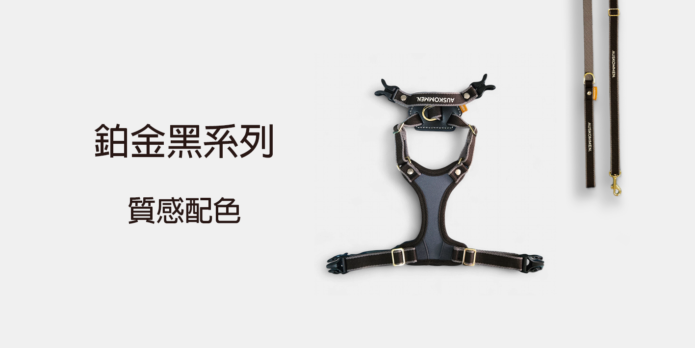 鉑金灰 官網圖4