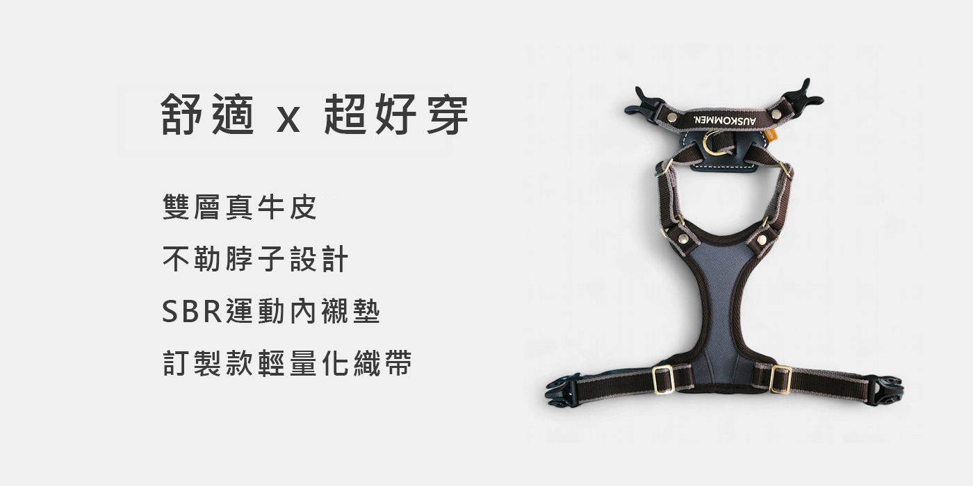 鉑金灰 官網圖1