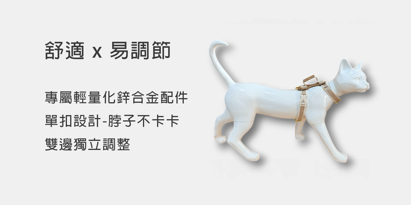 官網圖2