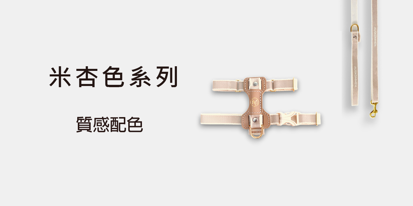 官網圖4