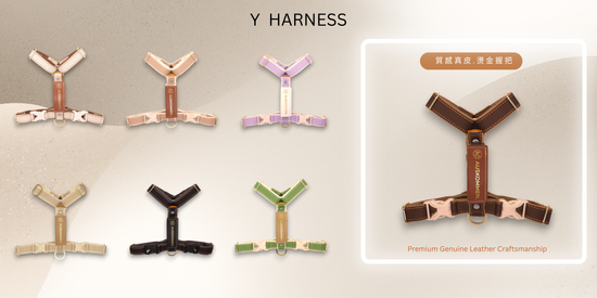 Y型胸背帶 | Auskommen